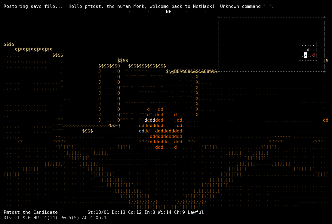 First-person NetHack dungeon rendered in ASCII